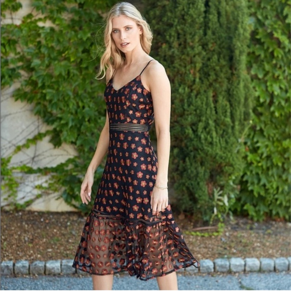 Jack by BB Dakota Black Dress with Red Floral Accents